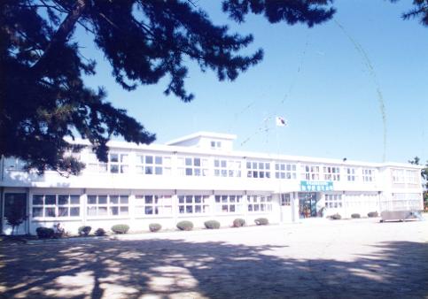 2000년 대남초 전경(추정)