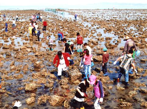 2011. 5. 17. 갯벌체험학습