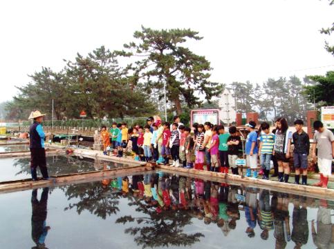 2011. 5. 17. 바다체험의 날